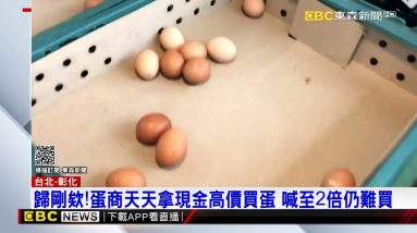 歸剛欸！蛋商天天拿現金高價買蛋 喊至2倍仍難買@東森新聞 CH51