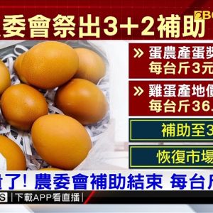蛋變貴了！ 農委會補助結束 每台斤漲2元@東森新聞 CH51