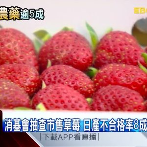 消基會抽查市售草莓 日產不合格率8成、含「禁用藥」@東森新聞 CH51