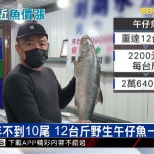 春節「年年有魚」恐得多掏錢 白金土魠漲5成 @newsebc