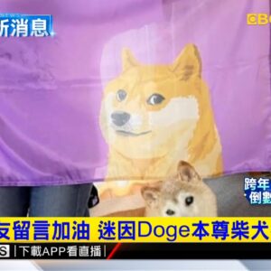 最新》全球網友留言加油 迷因Doge本尊柴犬病情好轉@newsebc