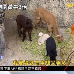 砸5.5億改建 高雄壽山動物園 今起試營運@newsebc
