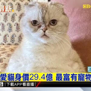 最新》泰勒絲愛貓身價29.4億 最富有寵物榜No.3@newsebc
